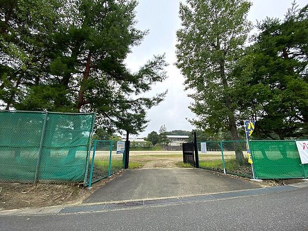 八木山中学校 1000m