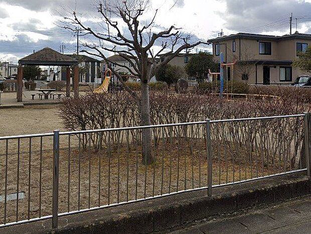 下古川公園 100m