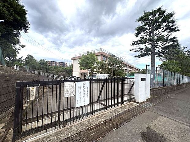 山田中学校 800m