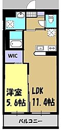 ビエント今泉 1LDKの間取図画像