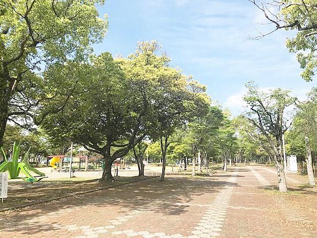 文化の森宮崎中央公園宮崎市中心部に位置し隣接する総合体育館や中央公民館。科学技術館と共に「文化の森」として広く市民に親しまれている公園です。 690m