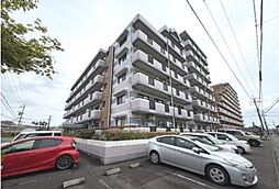 21コスモス宮崎