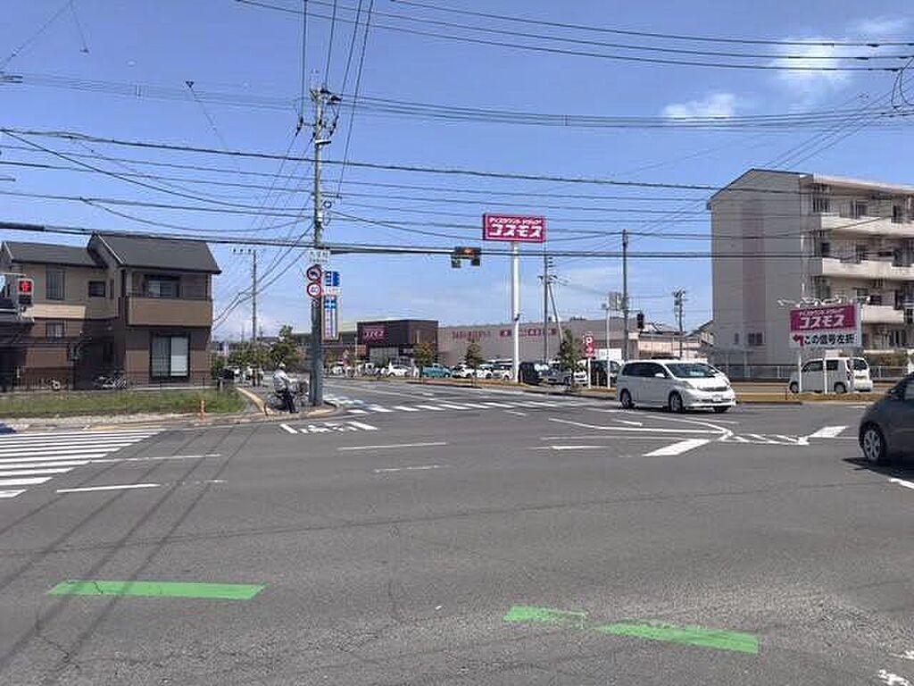 Image 11