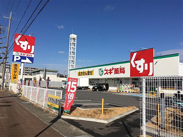 スギドラッグ 上植野店（297m）