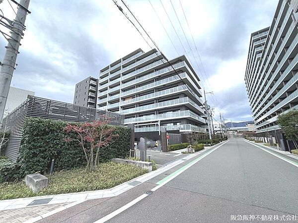 現地写真