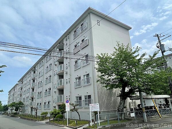外観：326000246142