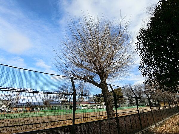 上鳥羽公園（1050m）