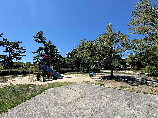 藤白公園（約20m）
