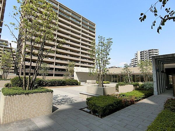 アーバンガーデン（南駐車場棟屋上）。舗装空間緑化空間が整然と区画化されたガーデン空間です！