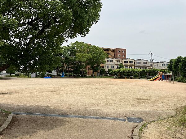 石橋公園（352m）