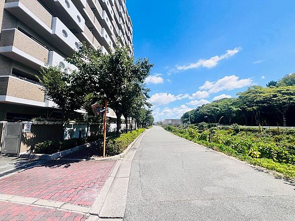 現地前面道路