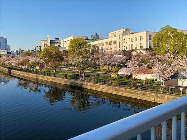 毛馬桜ノ宮公園（820m）