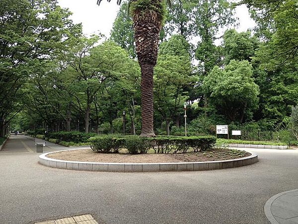 靱公園（284m）