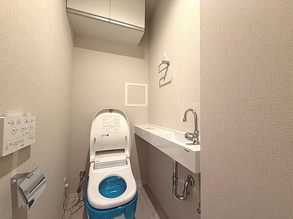 【トイレ】温水洗浄機能付きトイレは、手洗いカウンターと上部収納を完備。常に清潔で快適な空間です。