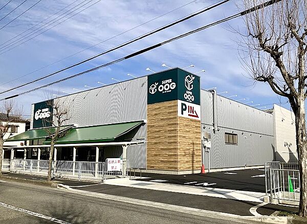 スーパーオオジ武庫之荘北店（1001m）