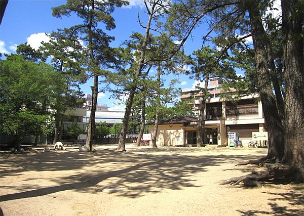 松並公園（368m）