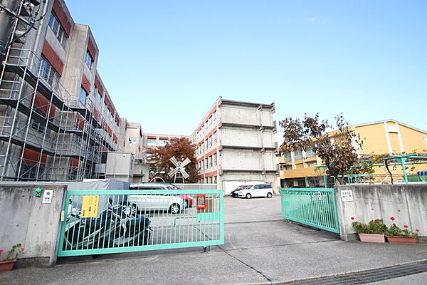 画像14:名古屋市立極楽小学校