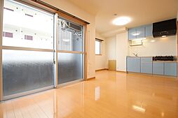 サンテラス 1LDKの写真