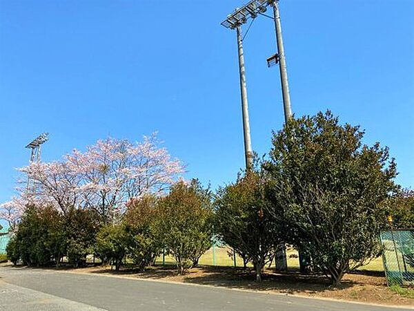 元石川市民運動場は住民の方のお散歩場所にもなっています