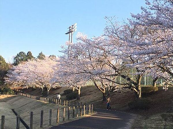 元石川市民運動場が近くにあります。お散歩やお花見にもいい場所です