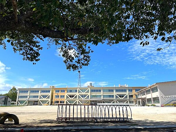 水戸市立酒門小学校：二校から小学校が選べます