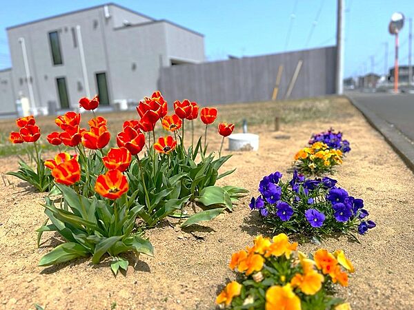 季節毎に咲く花々や木々の変化を分譲地内に居ても感じることができます