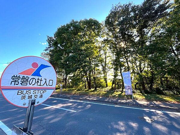 分譲地内にはバス停が計5ヶ所にあります。始発・終着地だから座っていけます