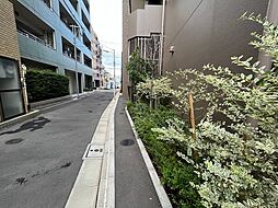 6 / 20