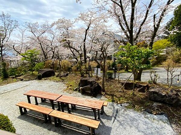 BBQはいかがでしょうか？