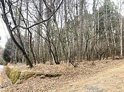 山梨県南都留郡山中湖村平野-