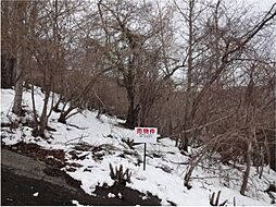 山梨県南都留郡山中湖村平野