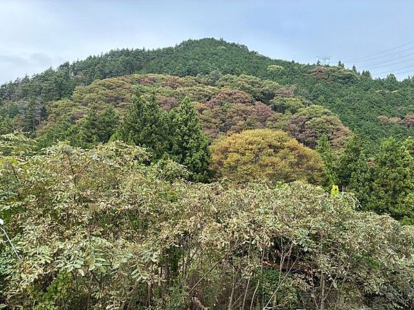 現地からの眺望(分譲地の裏側:北西側)