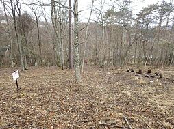 山梨県南都留郡山中湖村平野