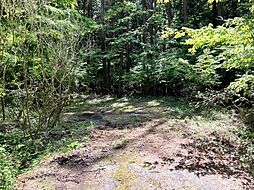 山梨県南都留郡忍野村忍草-