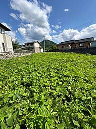 山梨県都留市夏狩