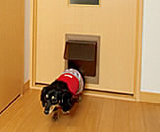 画像24:ペット出入り口付き洋室扉