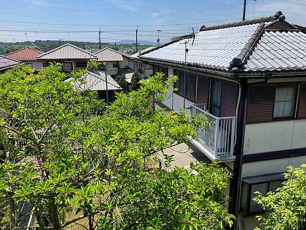2階からの眺めです。緑がきれいです。