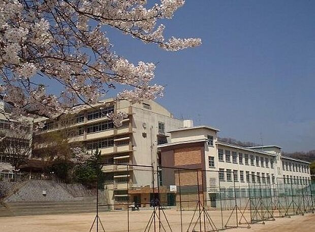 【中学校】神戸市立夢野中学校まで814ｍ