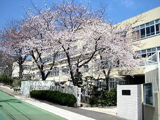 【小学校】神戸市立五位の池小学校まで332ｍ