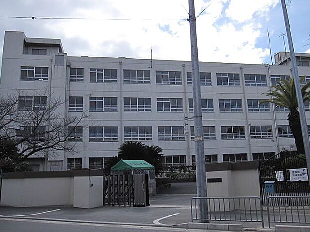 【小学校】高槻市立柱本小学校まで299ｍ