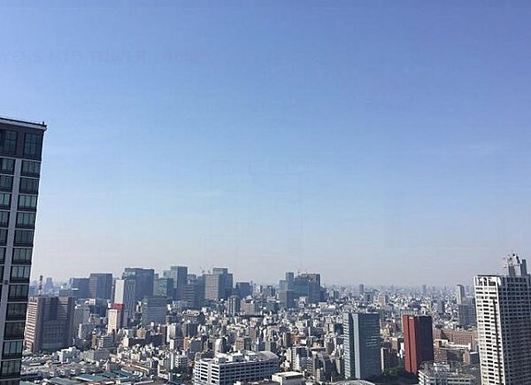 THE TOKYO TOWERS MIDTOWER（ザ・東京タワーズ ミッドタワー） ｜東京都中央区勝どき6丁目(賃貸マンション1LDK・5階・55.52㎡)の写真 その20