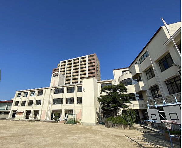 画像24:【小学校】大阪市立中道小学校まで127ｍ