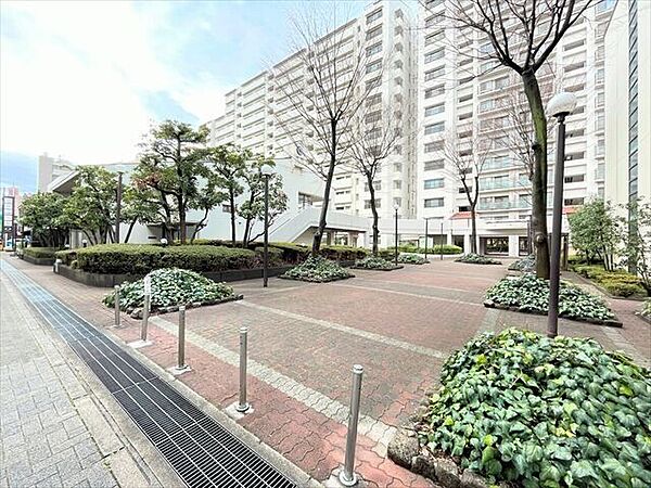 ゆとりある共有スペースは、植栽も手入れが行き届いていており緑を感じながらお散歩するのもおすすめです。