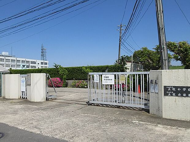 【小学校】高槻市立上牧小学校まで1000ｍ