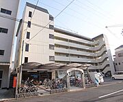 メゾン・オーシャン 5階 築47年の賃貸物件