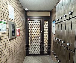 5 / 6