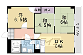 ロココ桂のイメージ