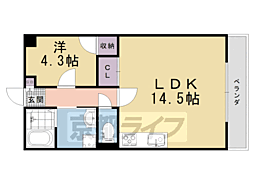 JR山陰本線 太秦駅 徒歩12分の賃貸マンション 1階1LDKの間取り