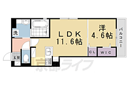 エスポワメゾン烏丸北大路 1LDKの間取図画像