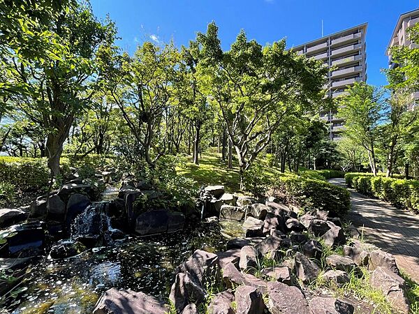 バルコニーからは、池や竹が自生している築山が広がっています